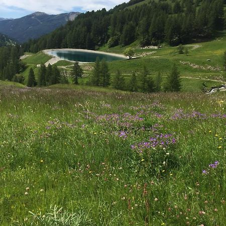 Studio Montagne Allos Luaran gambar