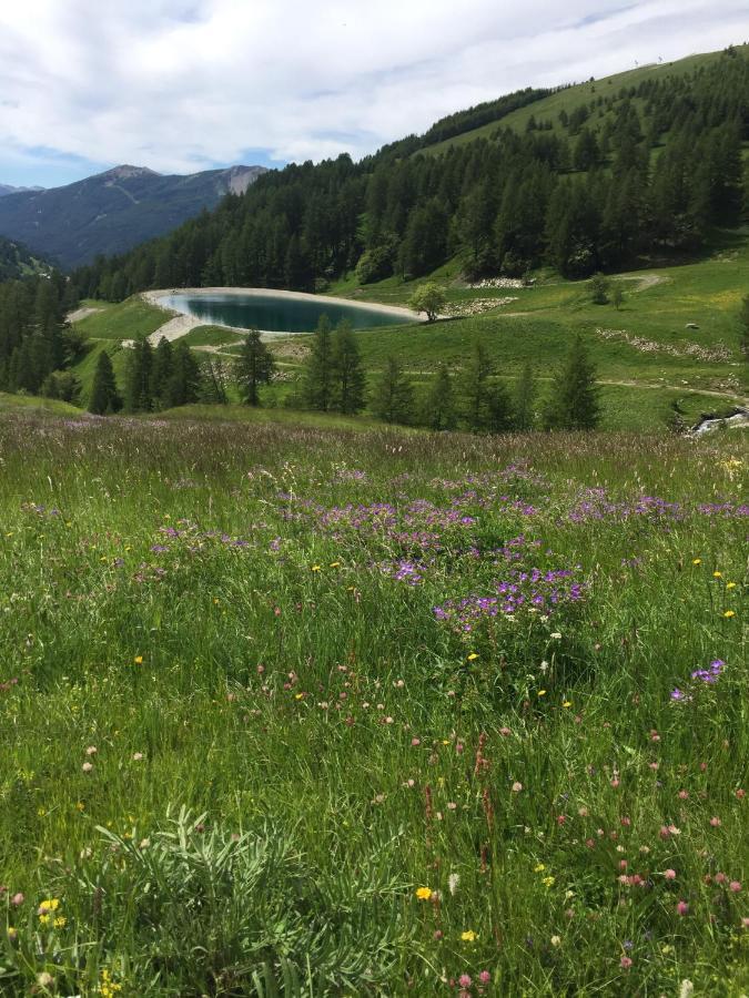 Studio Montagne Allos Luaran gambar
